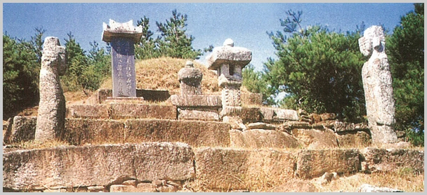 sj-13.jpg