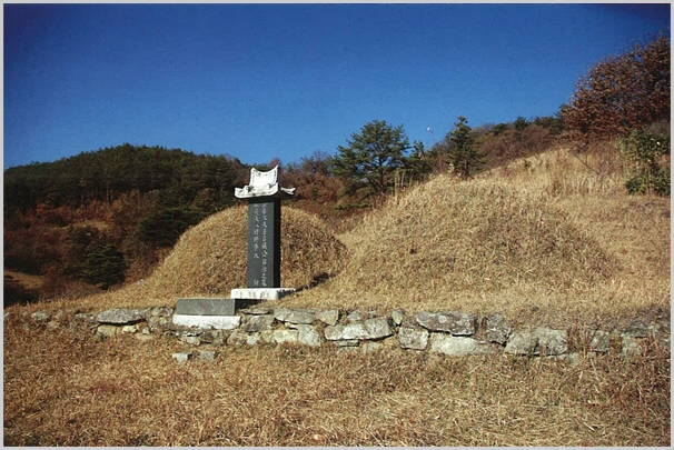 sj-134.jpg