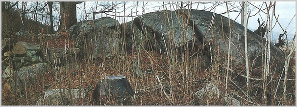 sj-16.jpg