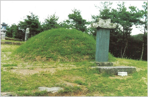 sj-3.jpg