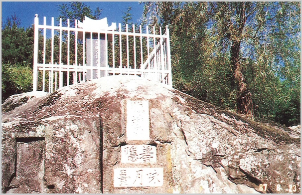 sj-61.jpg