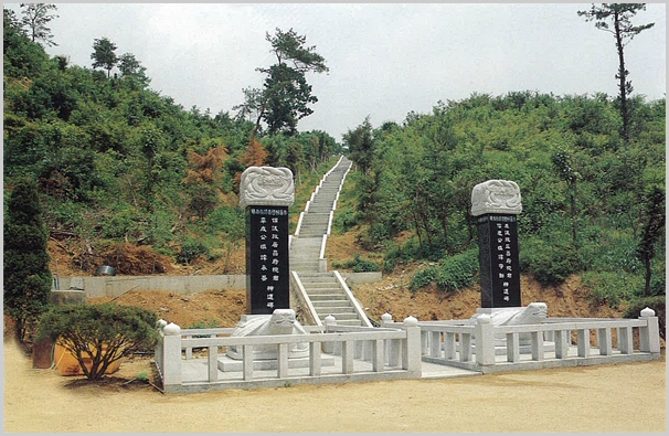 sj-81.jpg